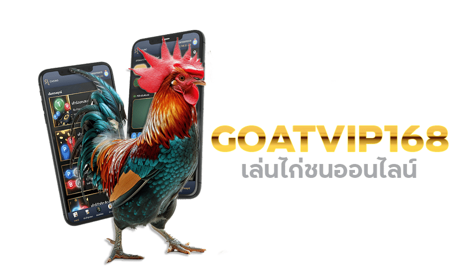 GOATVIP168 เล่นไก่ชนออนไลน์