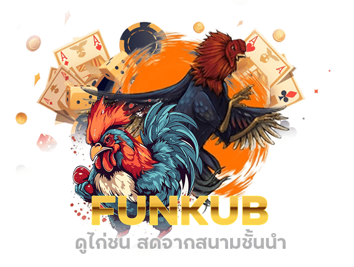 FUNKUB ดูไก่ชน สดจากสนามชั้นนำ