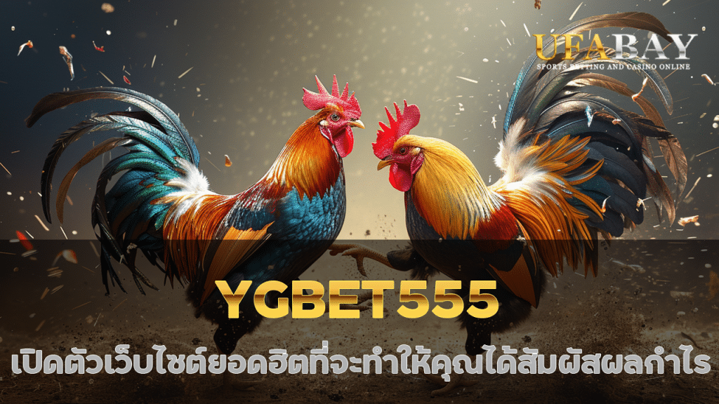 YGBET555